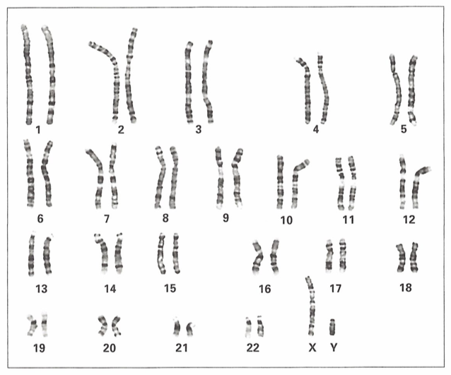 MedGene Cytogenetika